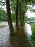 Vltava 2009: esk Krumlov - Zlat Koruna