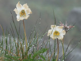 tatry 2.zamraen den