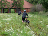 cyklodovolen 2010 - Simina zkratka